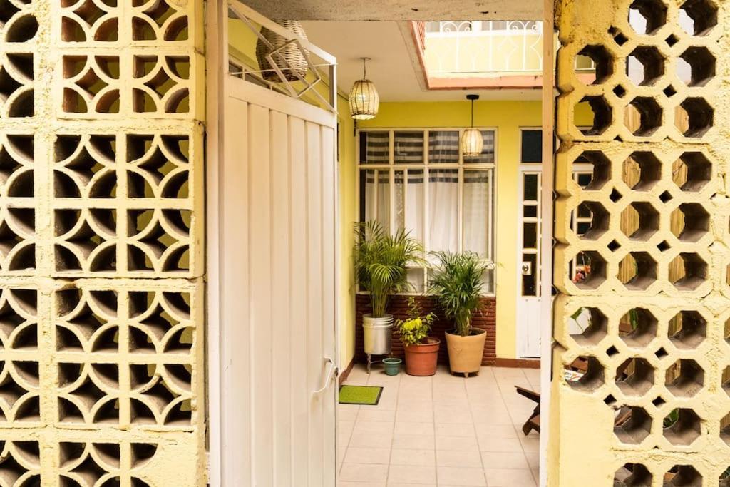 オアハカ州3 Bd House Steps From Santo Domingoアパートメント エクステリア 写真